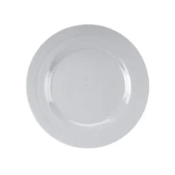 Dinner Plate